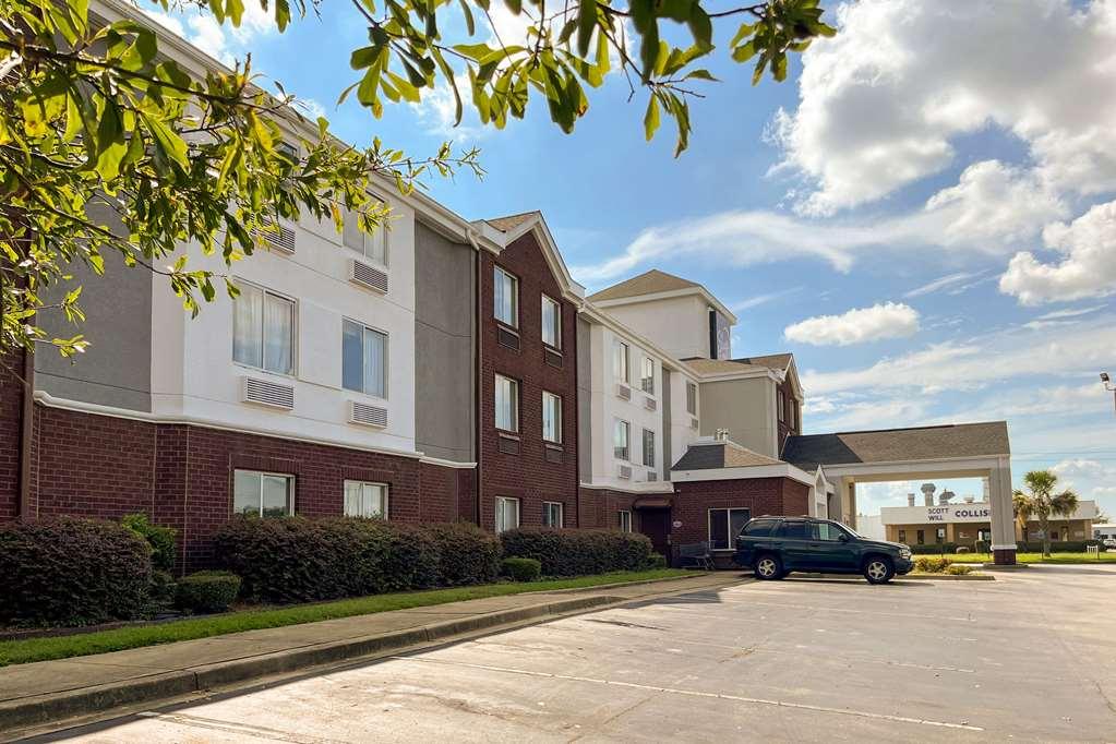 Sleep Inn Sumter Bagian luar foto