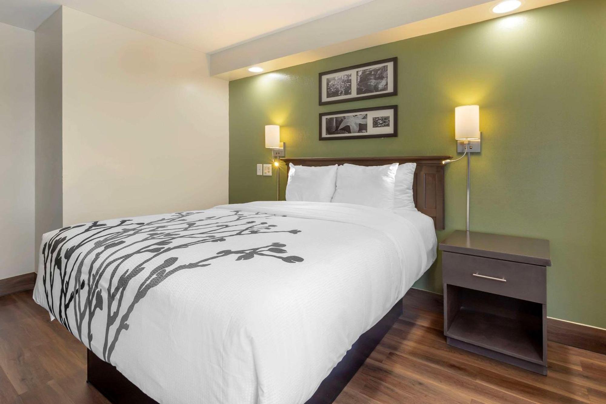 Sleep Inn Sumter Bagian luar foto